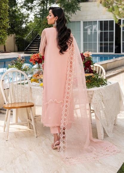 Peach Pink Soft Organza Embellished Suit
