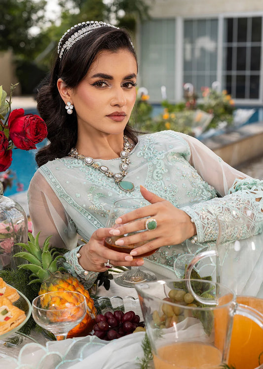 Mint Green Soft Organza Embellished Suit