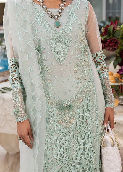 Mint Green Soft Organza Embellished Suit