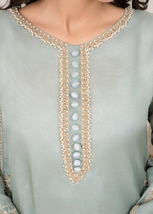 Pastel Green Embellished Raw Silk Suit