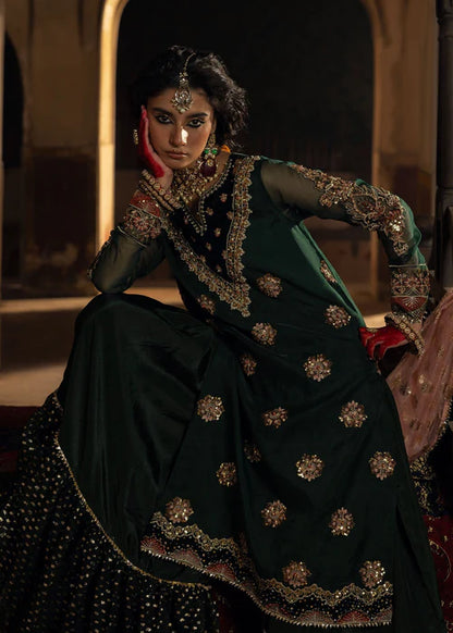 Emerald Green Embellished Organza Flared Gharara
