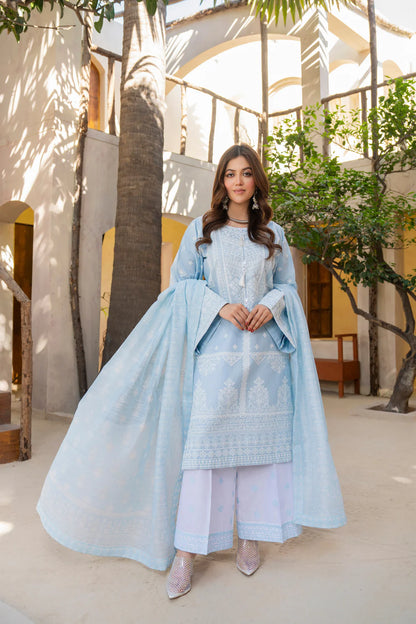 Cloud Blue Pure Cotton Suit with Matte Thread Work