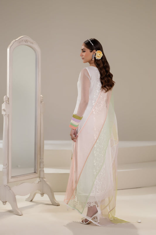 White Pure Organza Hand Embroidered Suit