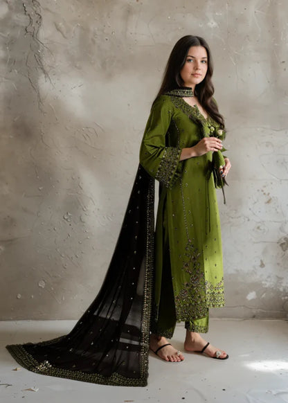 Linen Embroidered Long Kurta Set with Dupatta