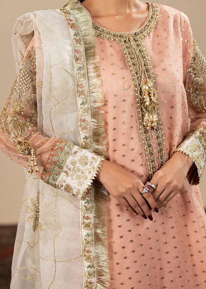 Blush Pink Embellished Flared Gharara