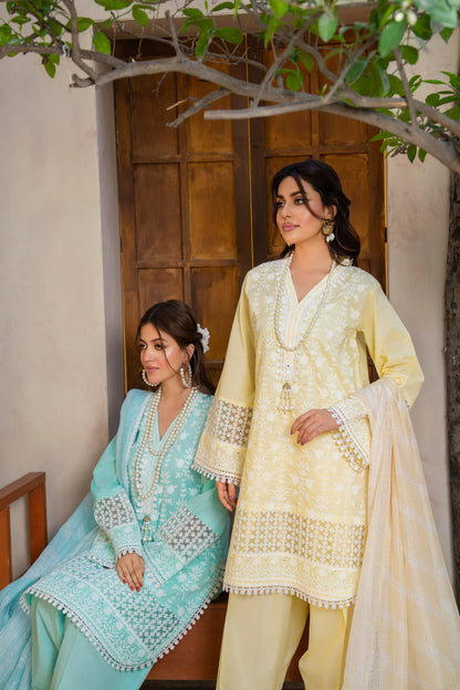 Pastel Teal Pure Cotton Farshi Shalwar Suit