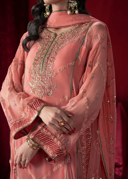 Coral Pink Chiffon Embroidered Suit