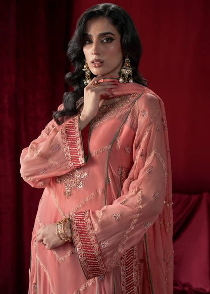 Coral Pink Chiffon Embroidered Suit
