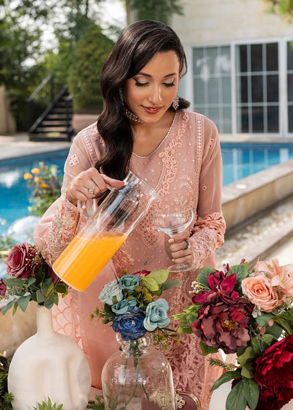 Peach Pink Soft Organza Embellished Suit