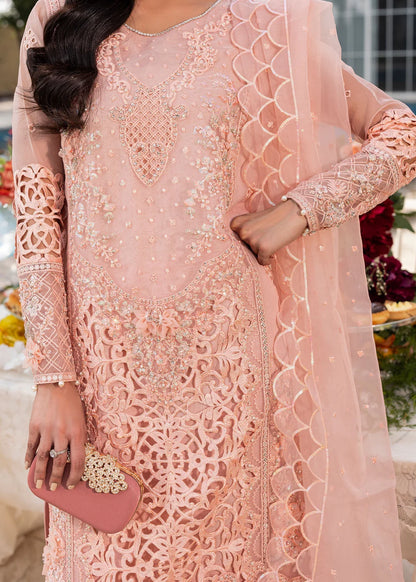 Peach Pink Soft Organza Embellished Suit