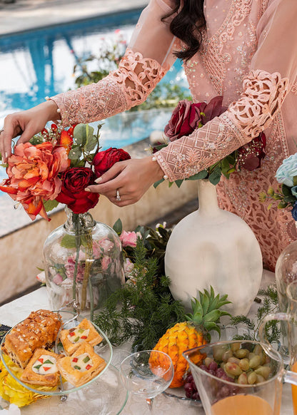Peach Pink Soft Organza Embellished Suit