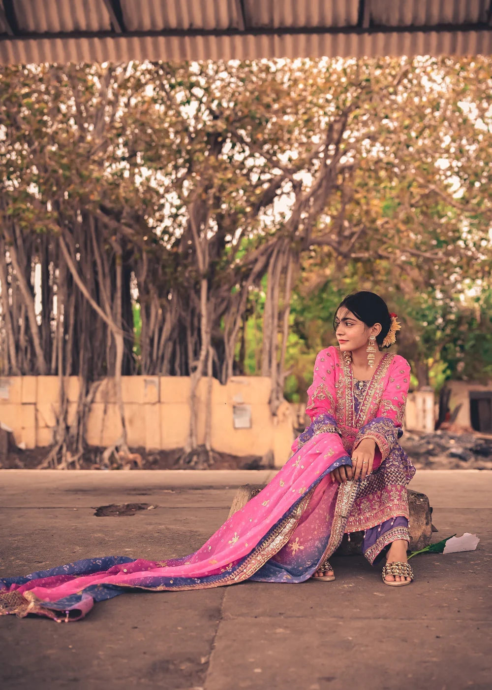 Pink & Purple Chiffon Embellished Suit