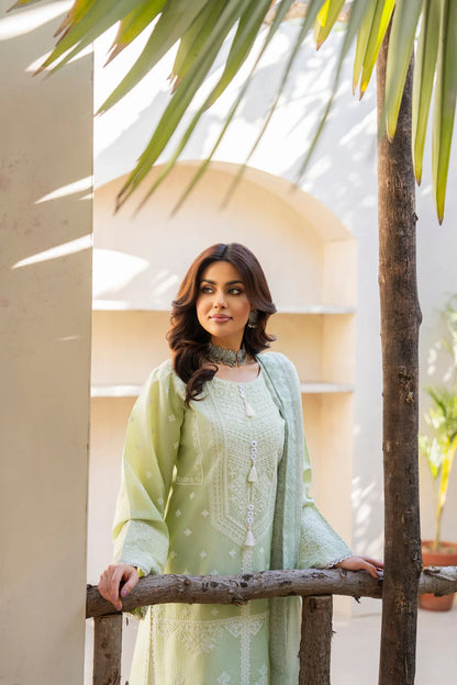 Pistachio Pure Cotton Suit with Matte Thread Work