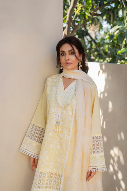 Butter Yellow Pure Cotton Farshi Shalwar Suit