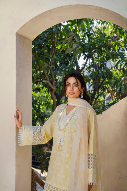 Butter Yellow Pure Cotton Farshi Shalwar Suit