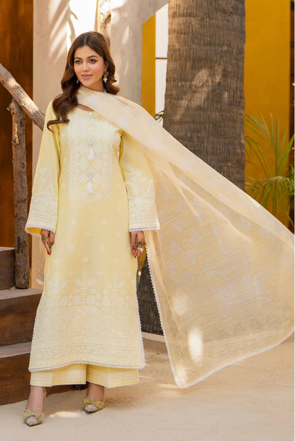 Lemon Yellow Pure Cotton Chikankari Suit with Long Shirt