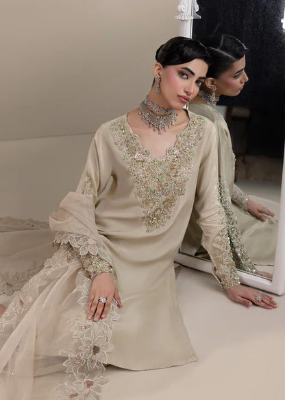 Elegant Ivory Grey Embellished Raw Silk Suit