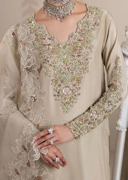 Elegant Ivory Grey Embellished Raw Silk Suit