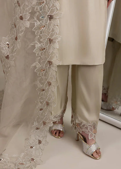 Elegant Ivory Grey Embellished Raw Silk Suit
