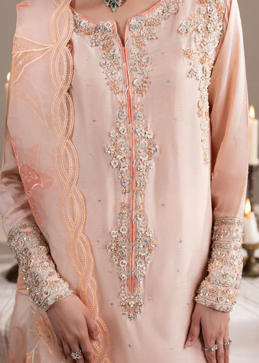 Raw Silk Embellished Pink Suit