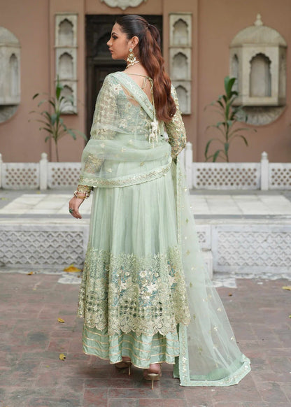 Pistachio Green Embellished Anarkali Maxi