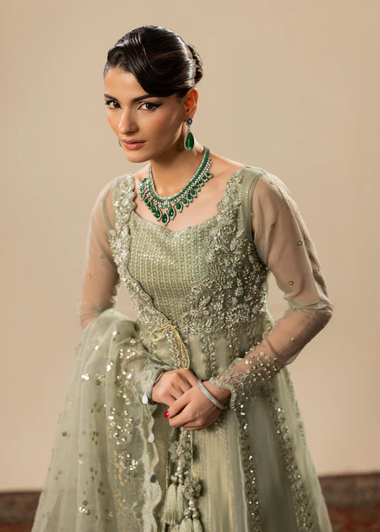 Pistachio Hand Embellished Organza Maxi