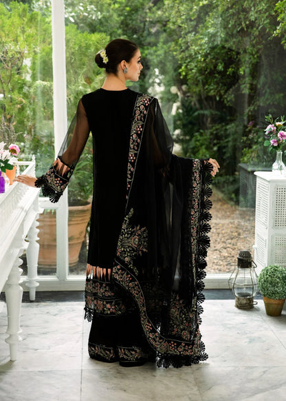 Black Embroidered Organza Suit