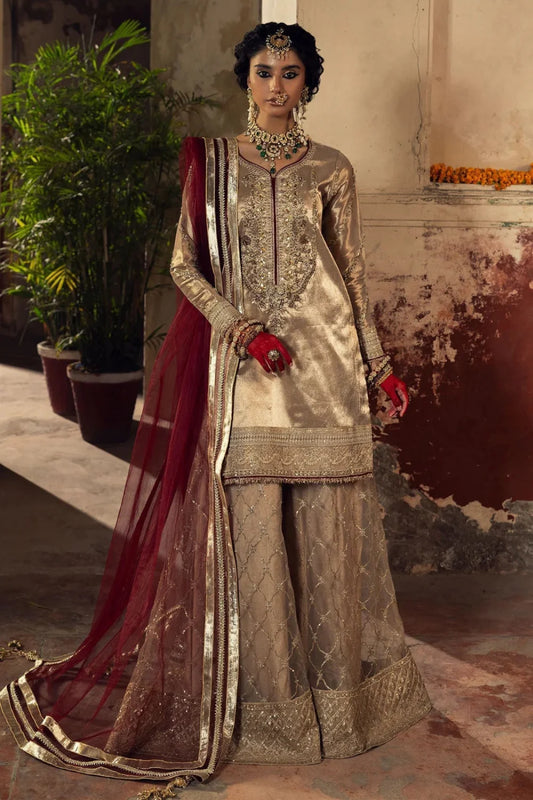 Beige Embellished Tissue Sharara