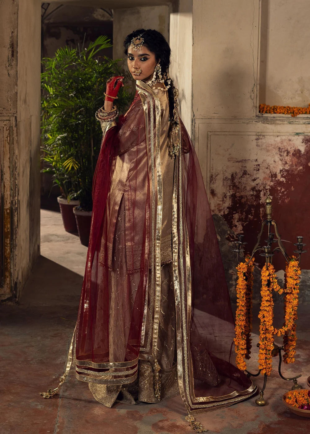 Beige Embellished Tissue Sharara