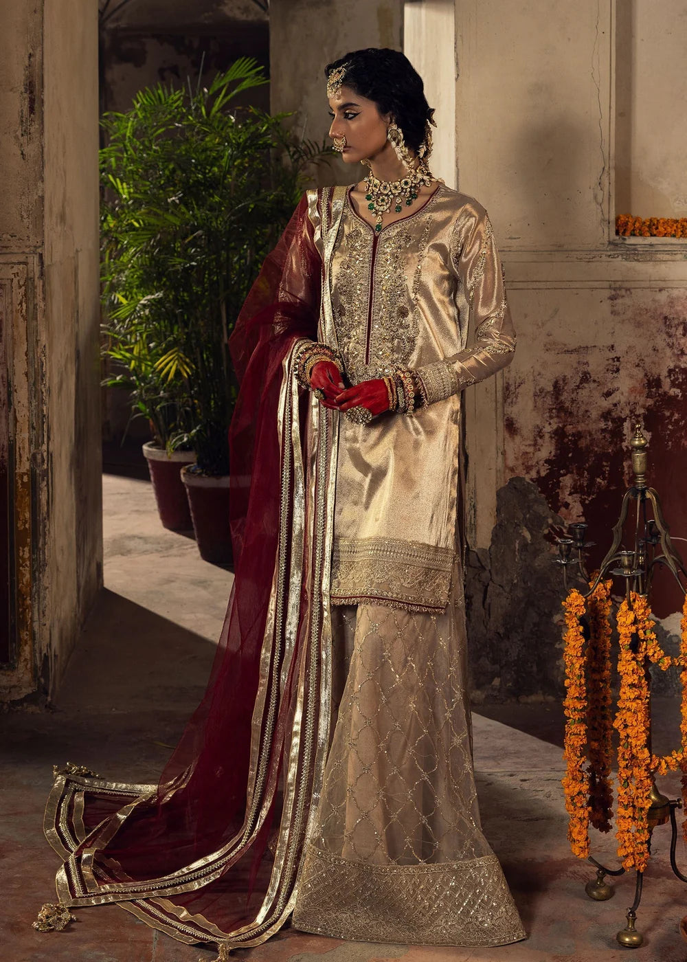 Beige Embellished Tissue Sharara