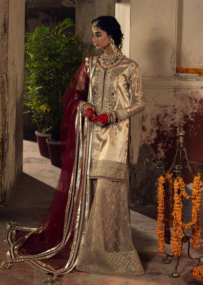 Beige Embellished Tissue Sharara