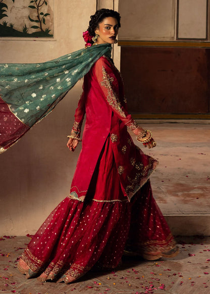 Burgundy Embellished Organza Gharara