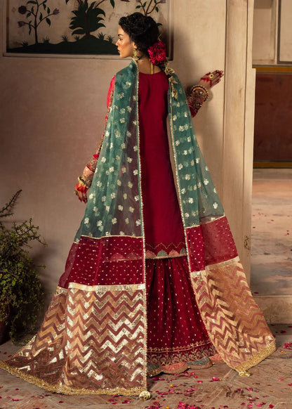 Burgundy Embellished Organza Gharara