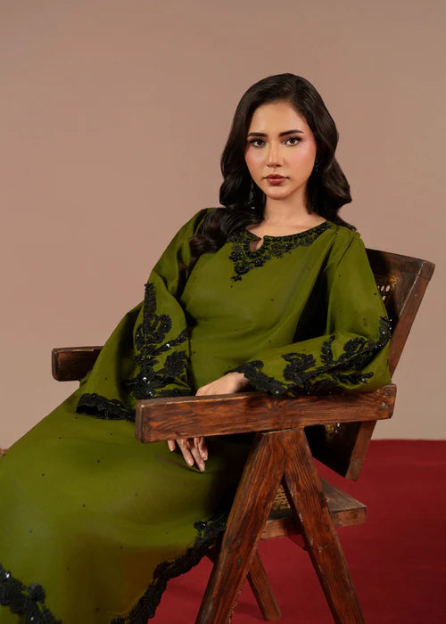 Apple Green Sequins Embroidered Linen Kurta Set