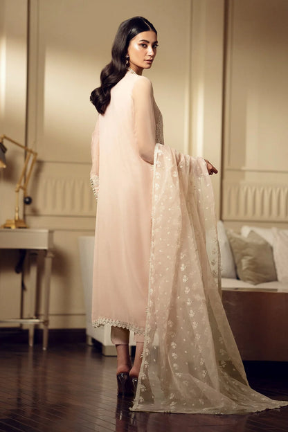 Skin Beige Sequins Embroidered Chiffon Suit