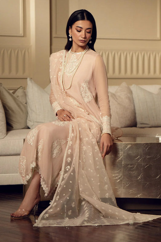 Skin Beige Sequins Embroidered Chiffon Suit