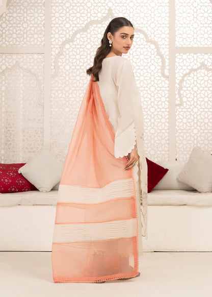 Ivory Front Open-Style Lawn Embroidered Suit with Organza Patchwork
