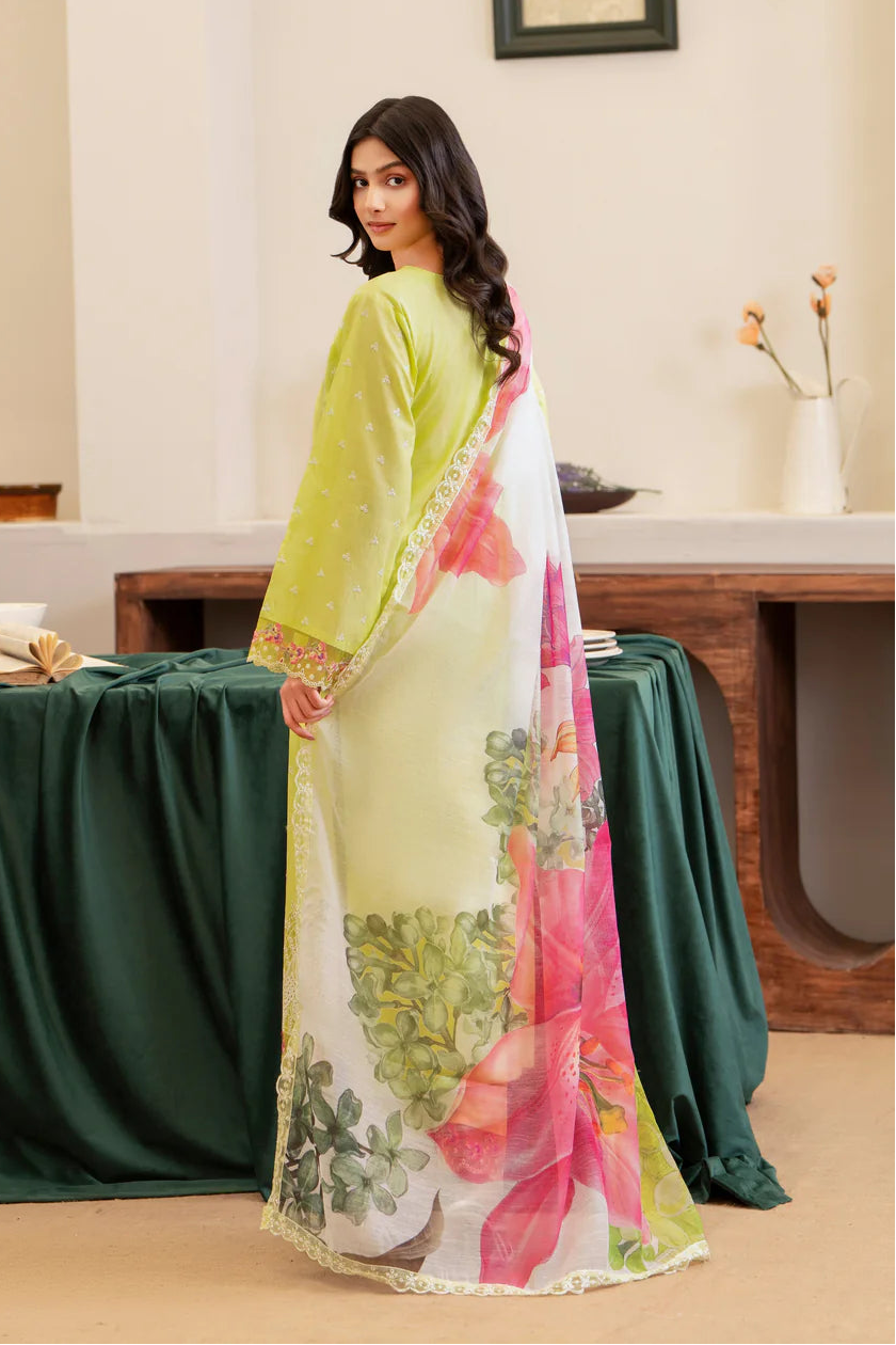 Lime Yellow Pure Cotton Chikankari Suit