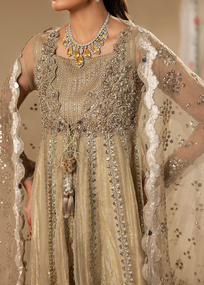 Gold Hand Embellished Organza Maxi