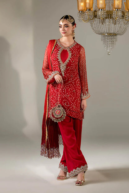 Hand Embroidered Chiffon Chunnari Farshi Shalwar Suit