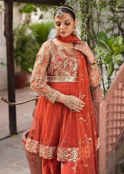 Rust Red Peplum Sharara