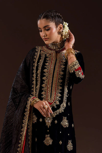 Heavy Handmade Velvet Suit with Silk Dupatta