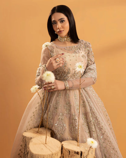 Powder Pink Embellished Organza Maxi