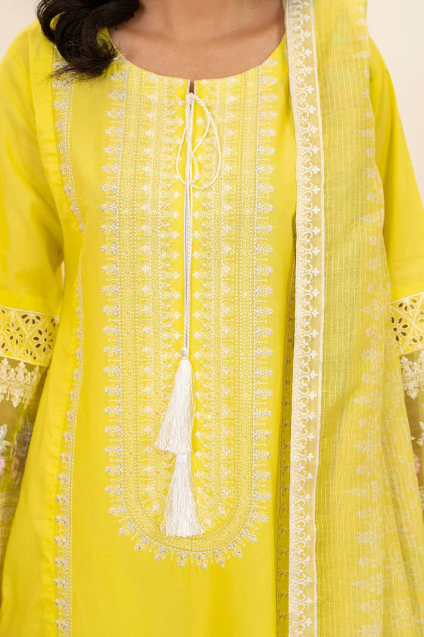 Firefly Yellow Pure Cotton Chikankari Suit