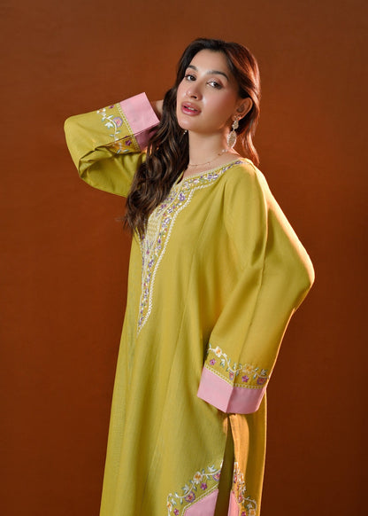Apple Green Straight Kurta Set with Pink Border Online in UK USA Canada
