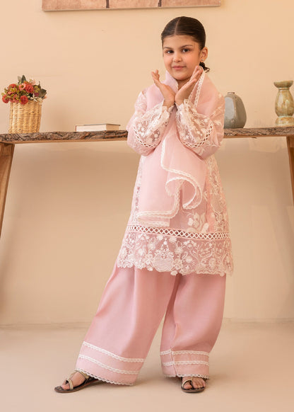 Baby Pink Embroidered Cotton Silk Pakistani Suit Online in Dubai DXB UAE Abudhabi Meena Bazaar