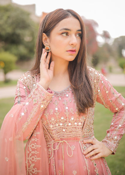 Baby Pink Net Flared Gown Online in Dubai UAE Abudhabi Ajman Sharjah