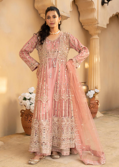 Baby Pink Net Flared Gown Online in Dubai UAE Abudhabi Ajman Sharjah