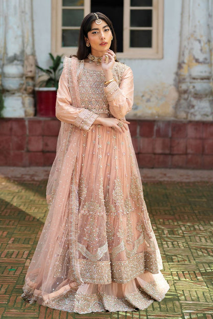 Baby Pink Net Maxi Wedding Guest Suit Online in Dubai UAE Abudhabi Ajman Sharjah