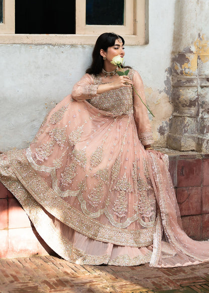 Baby Pink Net Wedding Guest Outfit Online in Dubai UAE Abudhabi Ajman Sharjah
